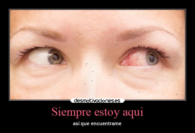 carteles ayuda animales familia desmotivaciones