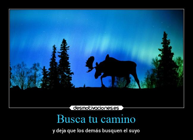 Busca tu camino -