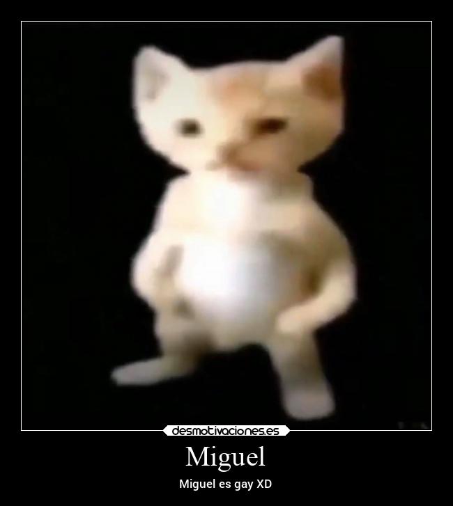 Miguel - Miguel es gay XD