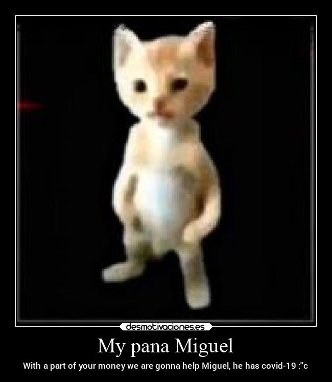 My pana Miguel - With a part of your money we are gonna help Miguel, he has covid-19 :c