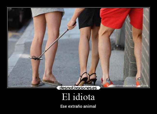 El idiota - Ese extraño animal