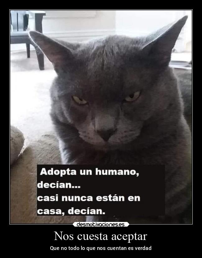 Nos cuesta aceptar -