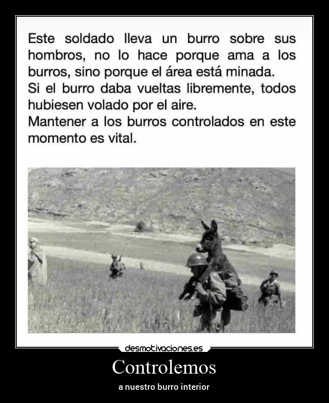 Controlemos - a nuestro burro interior