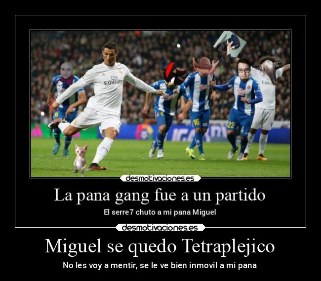 carteles celos desmotivaciones