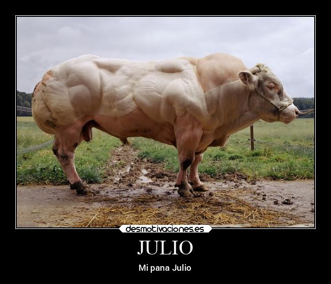 JULIO - Mi pana Julio