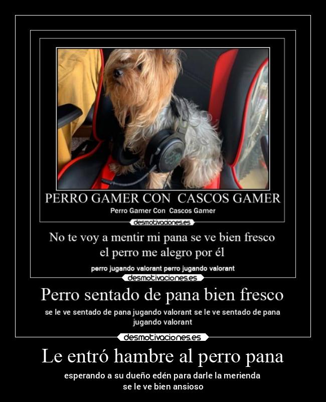 carteles celos desmotivaciones