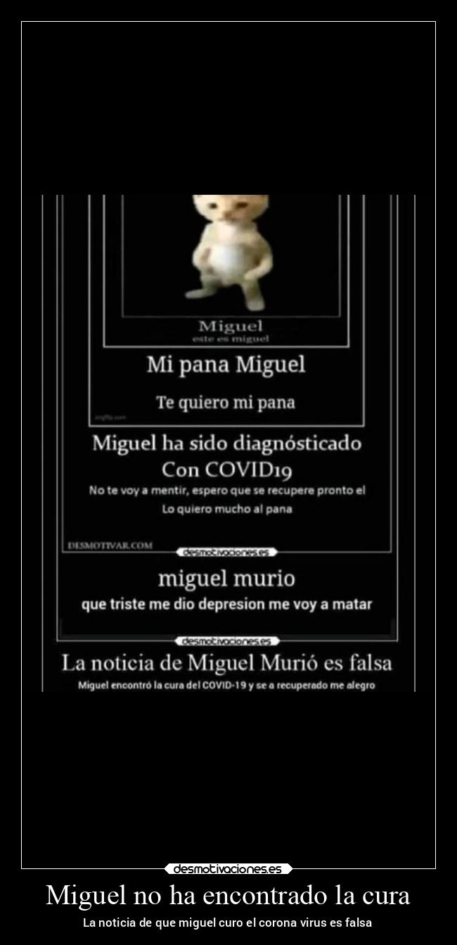 Miguel no ha encontrado la cura - La noticia de que miguel curo el corona virus es falsa