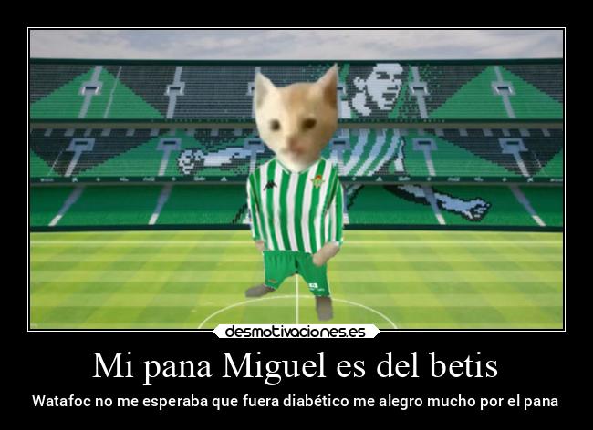 Mi pana Miguel es del betis - Watafoc no me esperaba que fuera diabético me alegro mucho por el pana