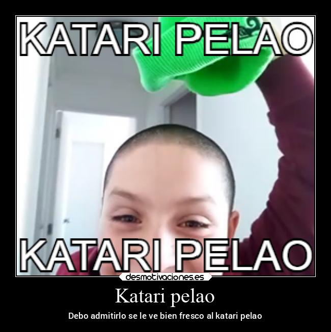 carteles chiste pelao desmotivaciones
