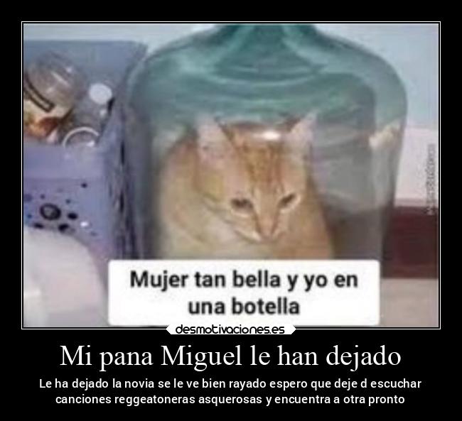 Mi pana Miguel le han dejado - Le ha dejado la novia se le ve bien rayado espero que deje d escuchar
canciones reggeatoneras asquerosas y encuentra a otra pronto