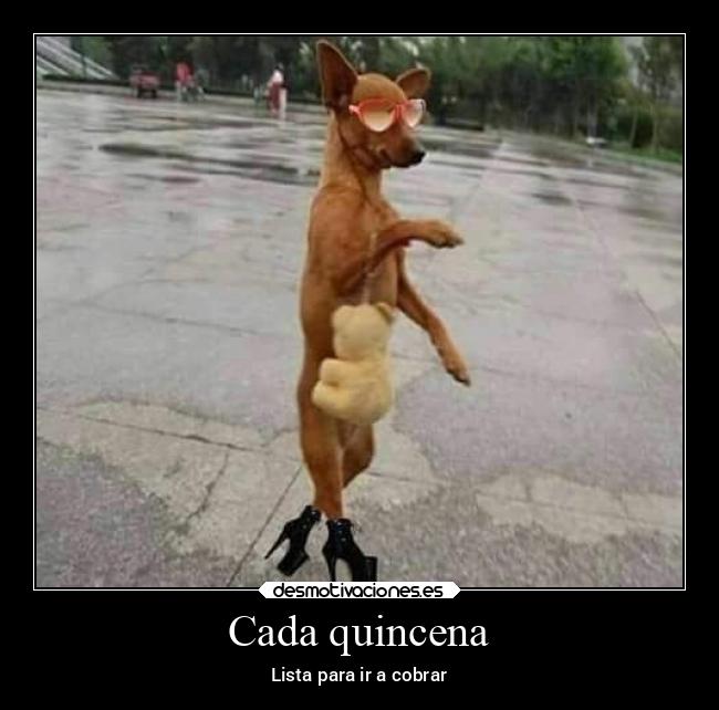 Cada quincena - Lista para ir a cobrar