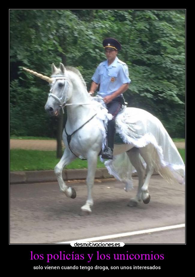 los policías y los unicornios - solo vienen cuando tengo droga, son unos interesados