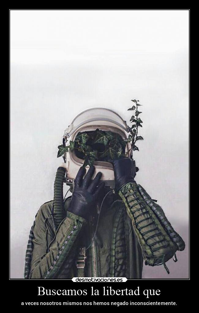 carteles libertad vida libertad soledad somosunpequenomundo desmotivaciones