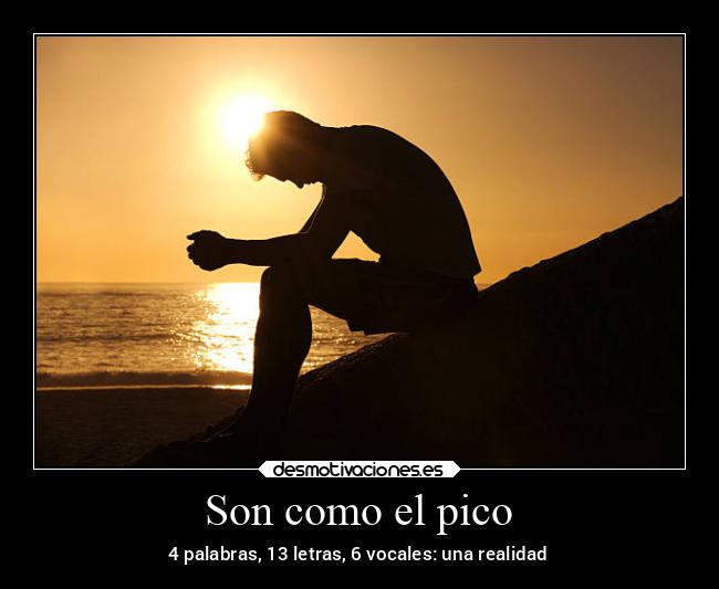 Son como el pico - 4 palabras, 13 letras, 6 vocales: una realidad