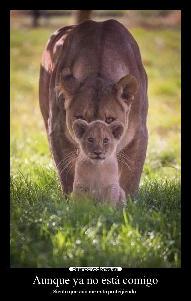 Aunque ya no está comigo - Siento que aún me está protegiendo.