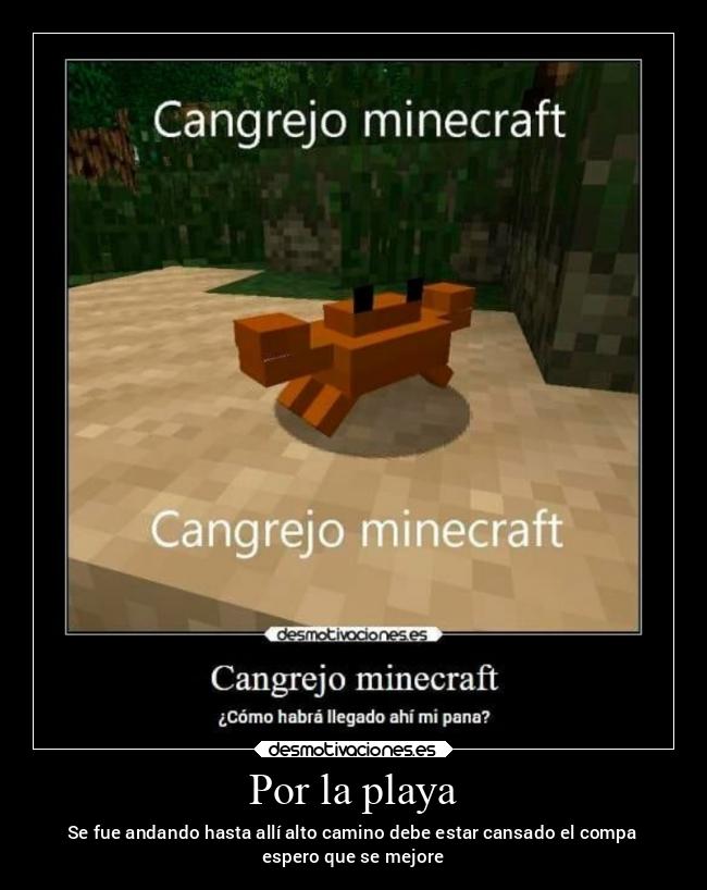 carteles memes desmotivaciones