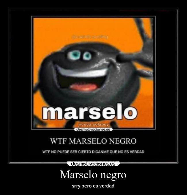 Marselo negro - srry pero es verdad