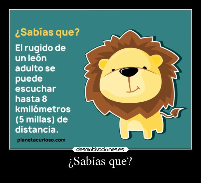 ¿Sabías que? -