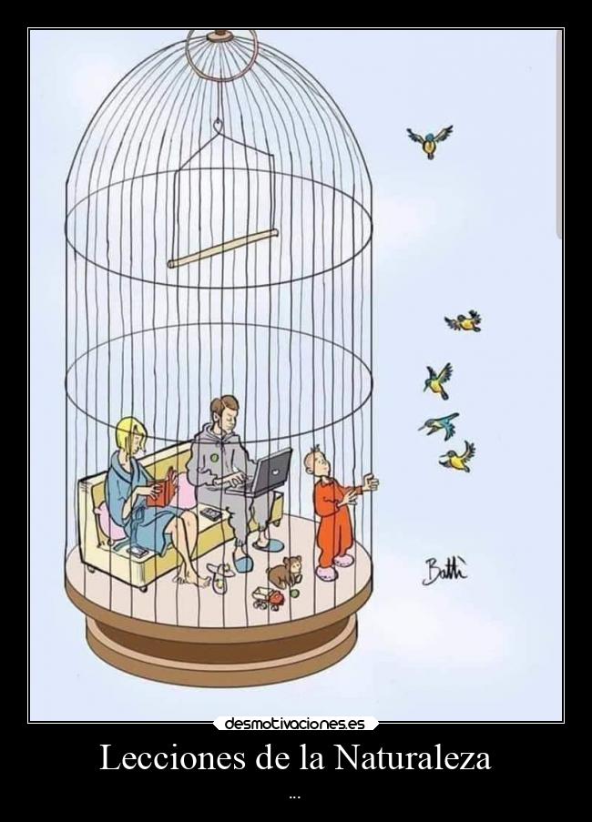 Lecciones de la Naturaleza - ...
