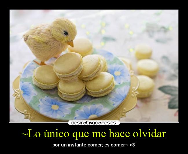 carteles olvidar comida alfajor pascuas frasesparaelrecuerdo desmovivetodavia2020 desmotivapascuas2020 desmotivaciones