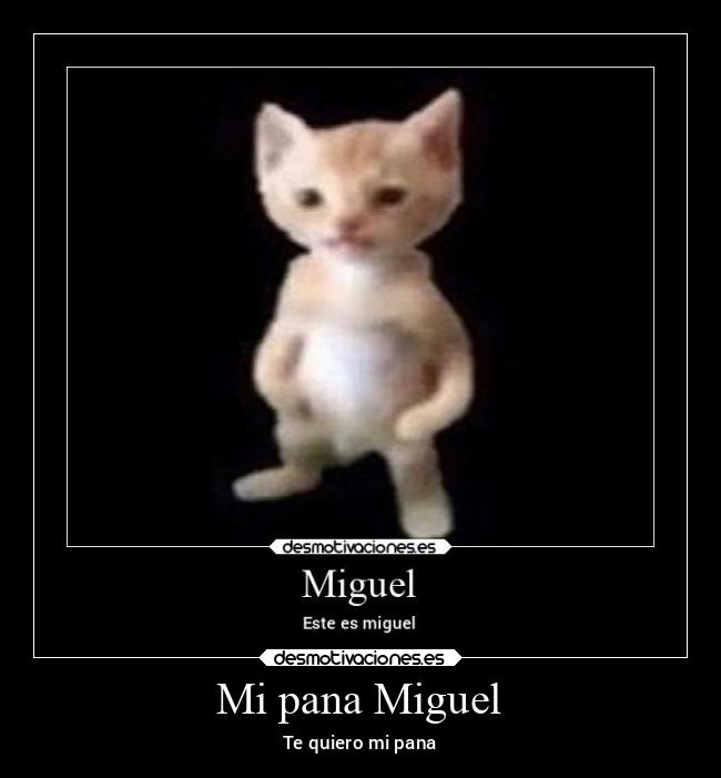 Mi pana Miguel - Te quiero mi pana