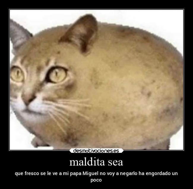 maldita sea -