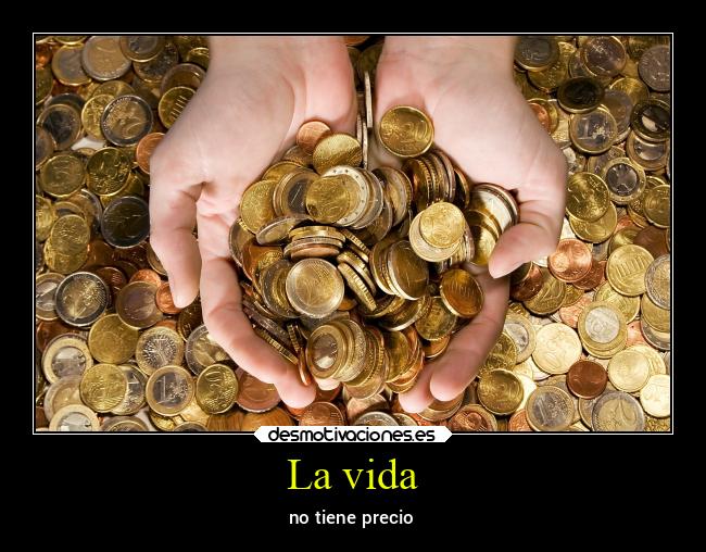 carteles vida alma coin moneda desmovivetodavia2020 lasegundacola desmotivaciones