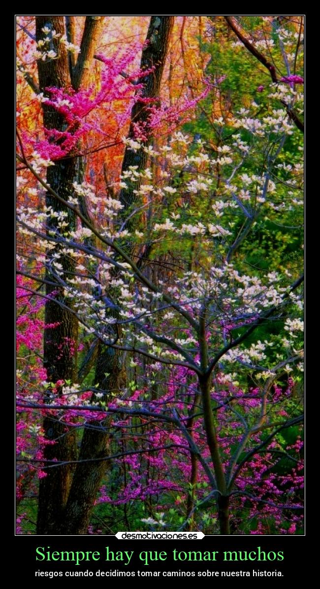 carteles vida chopper igbt desmovivetodavia2020 desmotivaciones