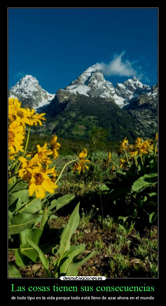 carteles vida chopper igbt desmovivetodavia2020 desmotivaciones