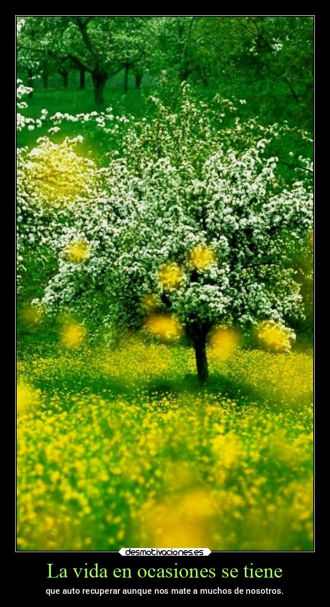 carteles vida vida chopper igbt desmovivetodavia2020 desmotivaciones