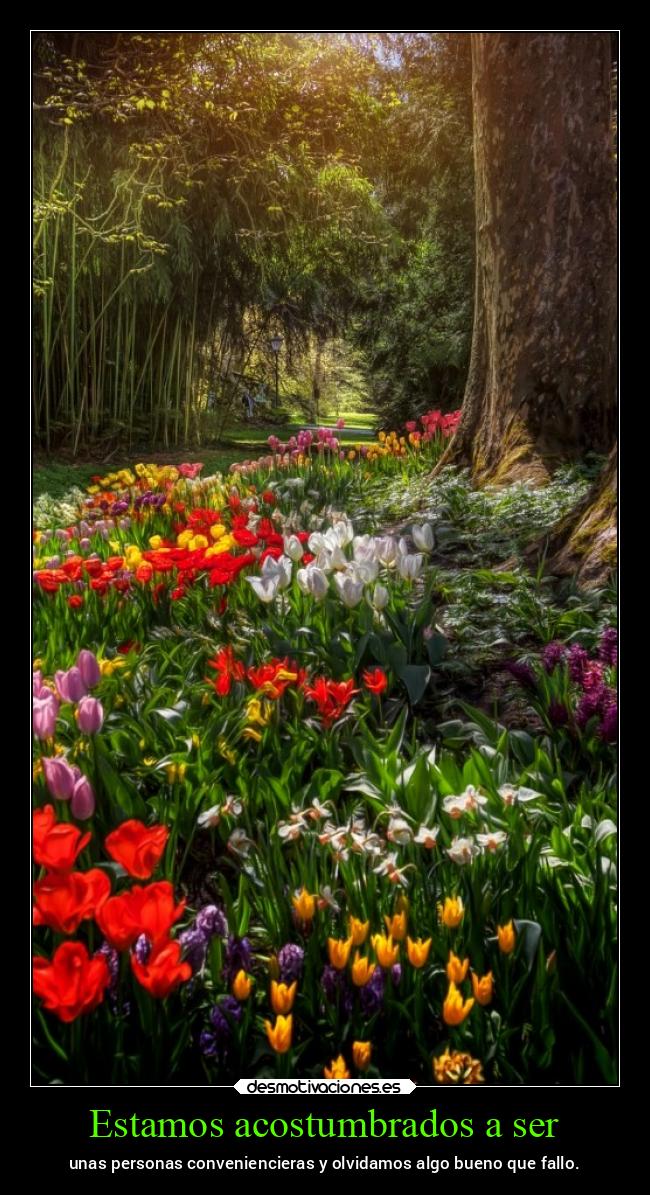 carteles vida chopper igbt desmovivetodavia2020 desmotivaciones