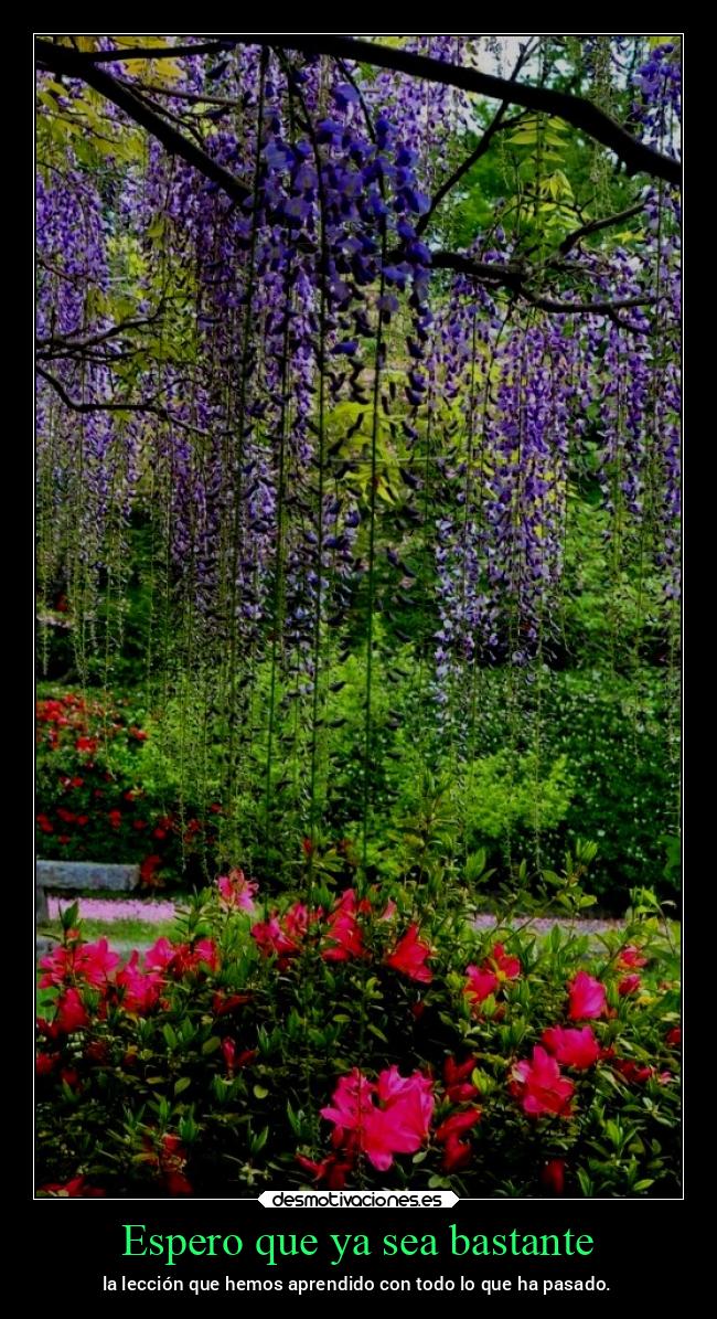 carteles vida chopper igbt desmovivetodavia2020 desmotivaciones