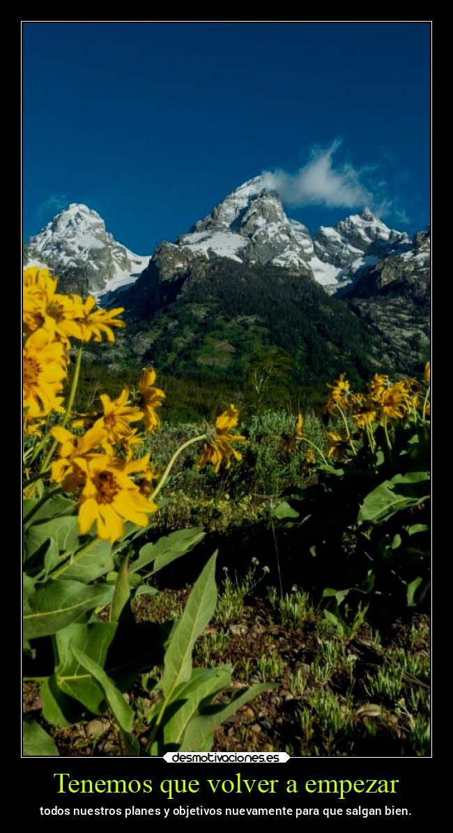 carteles vida chopper igbt desmovivetodavia2020 desmotivaciones