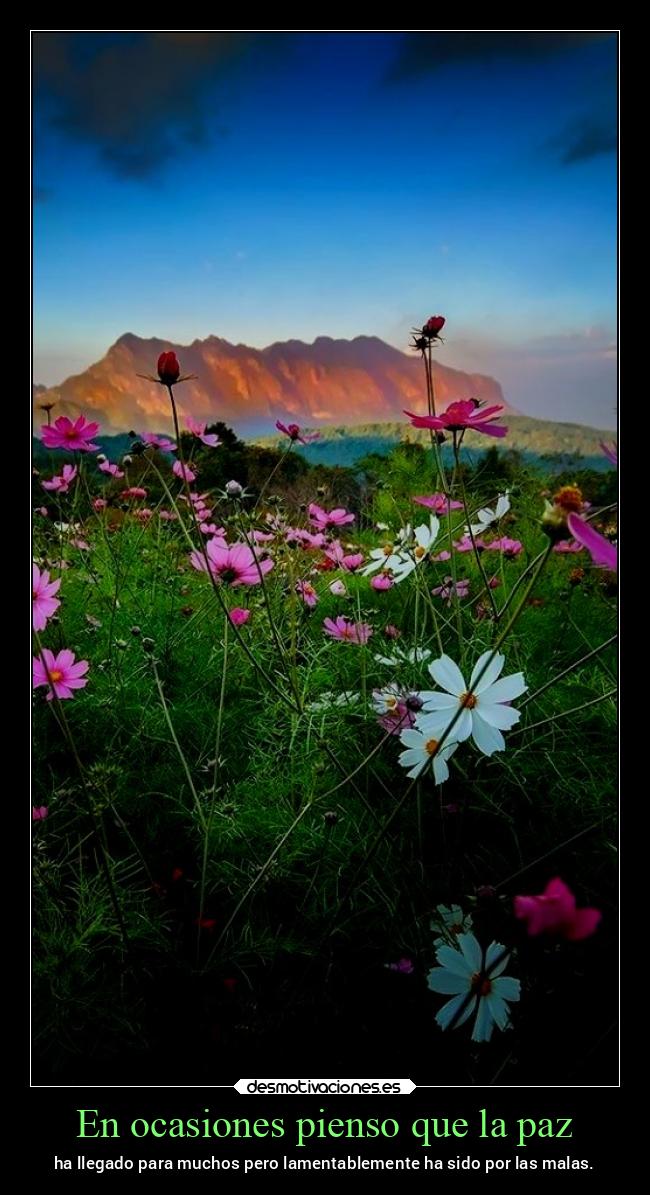 carteles vida chopper igbt desmovivetodavia2020 desmotivaciones