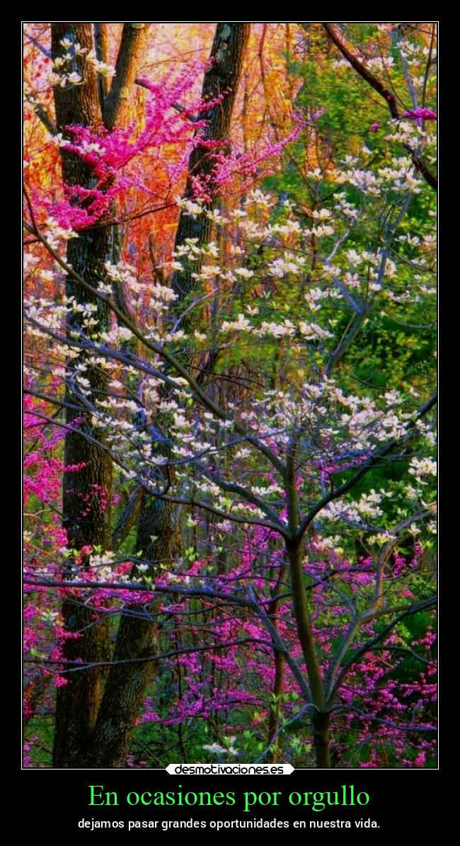 carteles vida chopper igbt desmovivetodavia2020 desmotivaciones