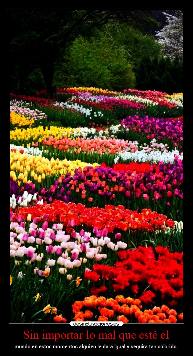 carteles vida chopper igbt desmovivetodavia2020 desmotivaciones