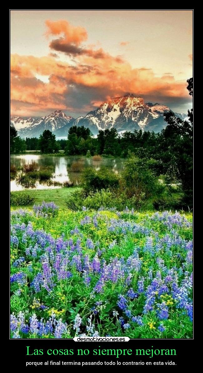 carteles vida chopper igbt desmovivetodavia2020 desmotivaciones