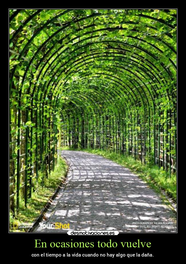 En ocasiones todo vuelve - con el tiempo a la vida cuando no hay algo que la daña.