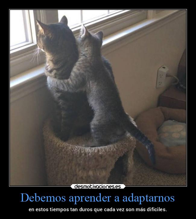 Debemos aprender a adaptarnos - en estos tiempos tan duros que cada vez son más dificiles.