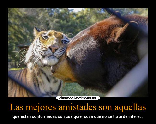 Las mejores amistades son aquellas - que están conformadas con cualquier cosa que no se trate de interés.