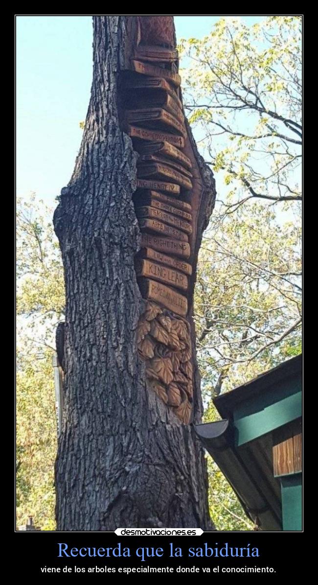 Recuerda que la sabiduría - viene de los arboles especialmente donde va el conocimiento.