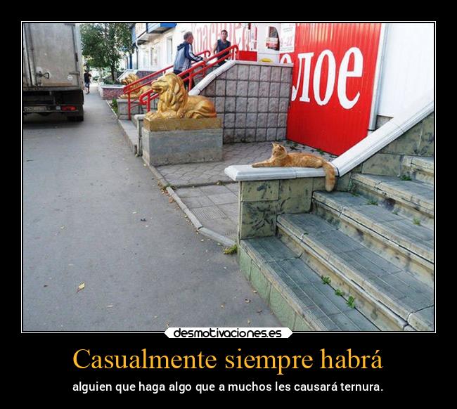 Casualmente siempre habrá - alguien que haga algo que a muchos les causará ternura.