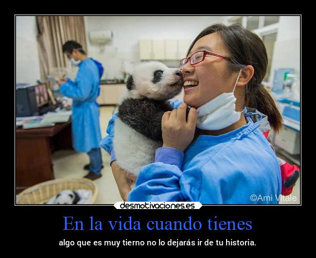 En la vida cuando tienes - algo que es muy tierno no lo dejarás ir de tu historia.