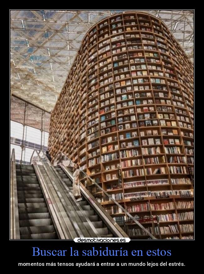 Buscar la sabiduría en estos - momentos más tensos ayudará a entrar a un mundo lejos del estrés.