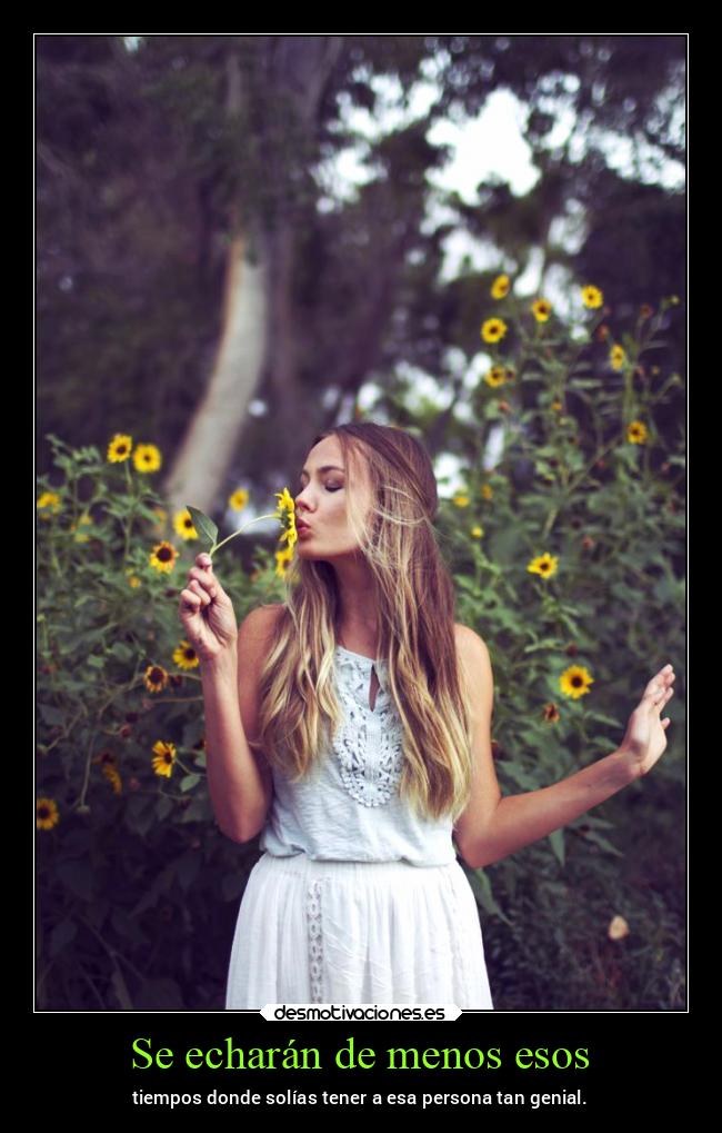 carteles vida gatos reboot patrick james acpj desmovivetodavia2020 desmotivaciones