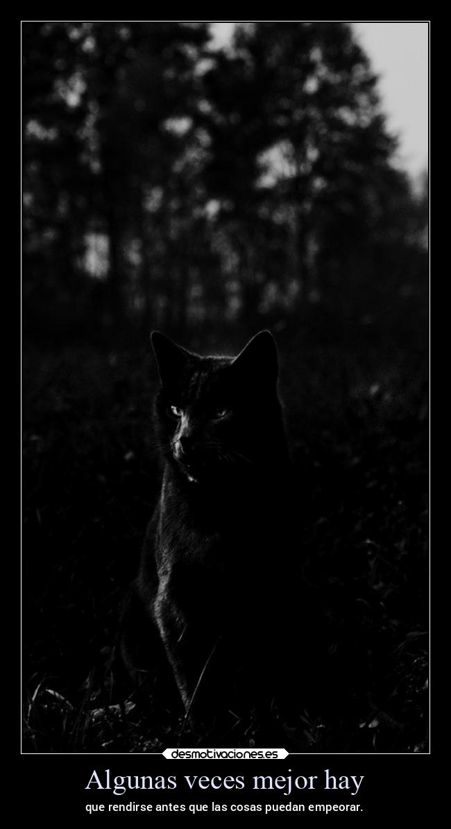 carteles vida ltsc lrssg alex vazquez999 desmotivaciones