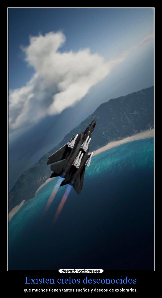 carteles vida ltsc lrssg alex vazquez999 desmovivetodavia2020 ace combat combat7 skies unknown f14d tomcat desmotivaciones