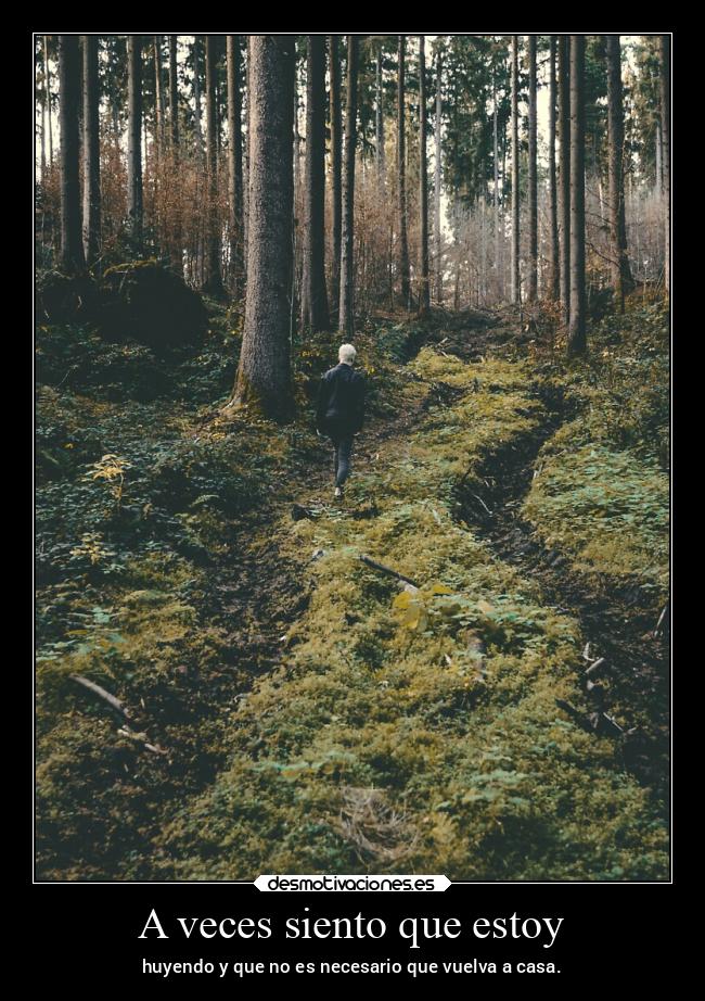 A veces siento que estoy - huyendo y que no es necesario que vuelva a casa.