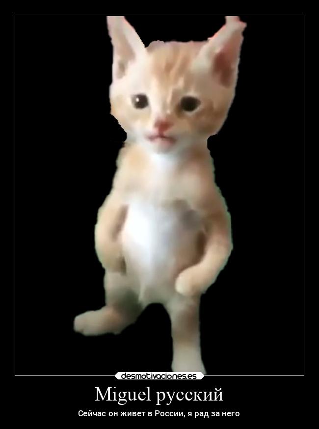 carteles videojuegos desmotivaciones