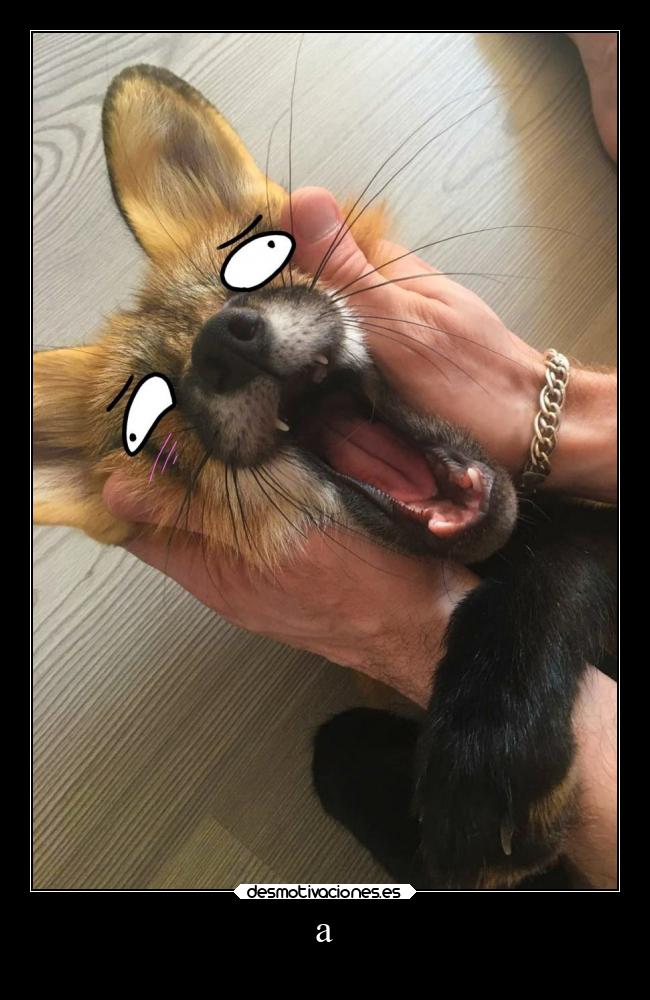 carteles abrazos alegria amigos animales ayuda celos confianza debilidad desmotivaciones